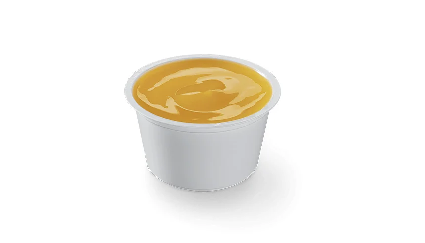 Garlic Dipping Sauce