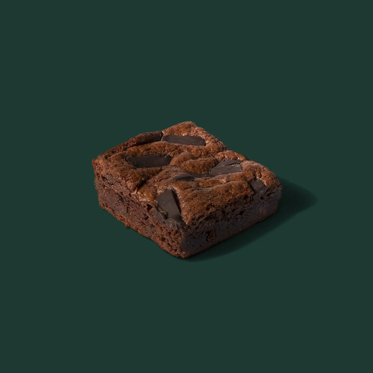 Double Chocolate Chunk Brownie